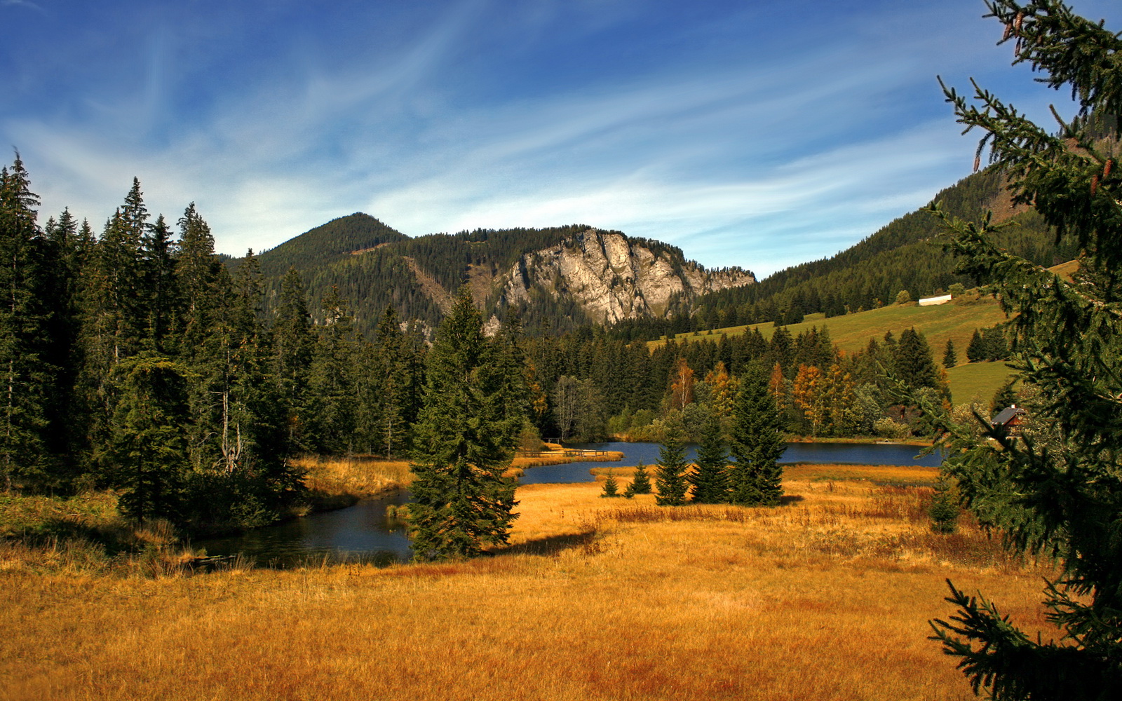 跨越赛场的勇士精神,从雷霆终结者到欧冠接管者