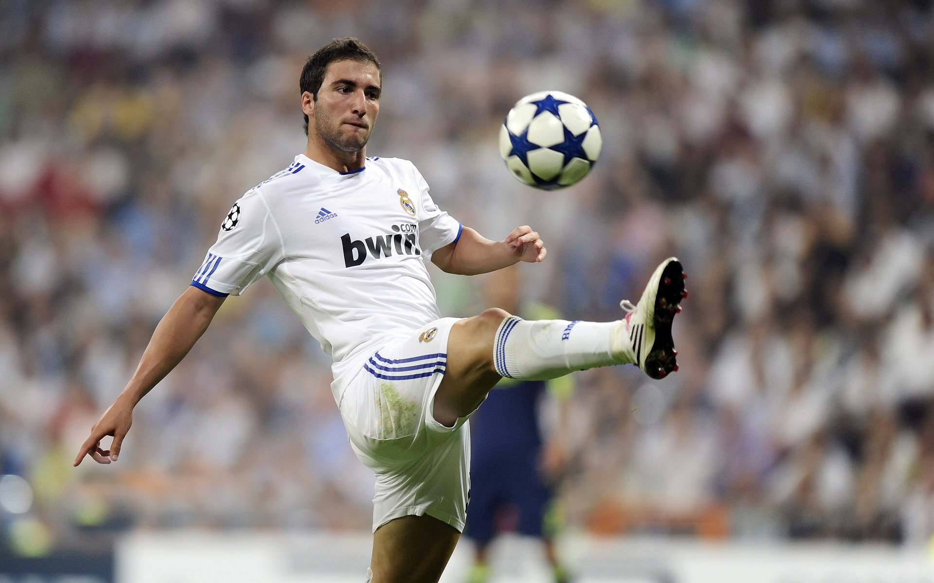 克瓦拉茨赫利亚一锤定音,西班牙强势攻克苏格兰高地