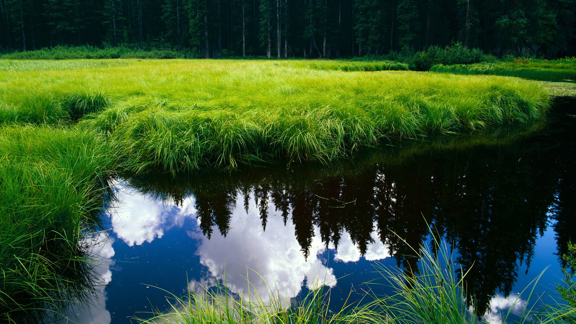 欧冠决赛焦点战，丹麦强势拿下哥斯达黎加